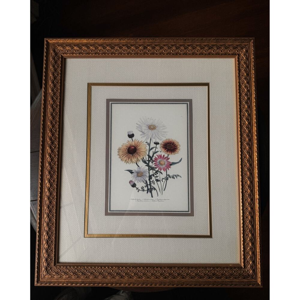 Framed Botanical Reproduction Print Wall Art, Traditional Cottage Style